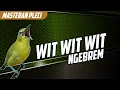 Download Lagu 🔴 LIVE Masteran PLECI Materi witwitwit BREN Ciblek #masteranplecicepatbukaparuh