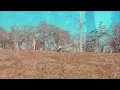 EVISBEATS『Odaigahara』