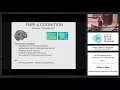 Lecture 6 4 PA Window on the Mind via fMRI Part 2