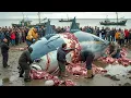 Download Lagu 200kg Tuna Pulled Up From Longline, Hunted And Butchered Giant Tuna!