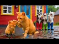 Download Lagu Mama Cat Works Hard in the Rain to Buy Colorful Boots for Her Sad Kitten Heartwarming Story 💦👢🌈
