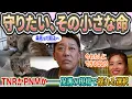 Download Lagu 台風の夜に託された小さな命 ― 風太とカツオの保護猫物語