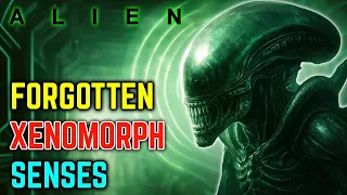 Xenomorph Senses EXPLAINED - If Alien Monsters Don t See How Do They Hunt The Forgotten Abilities