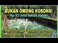 Download Lagu Keuntungan Budidaya Ikan Gurame 1000 Ekor (2024) | Pembuktian Dengan Data Valid!
