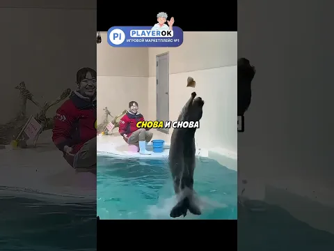 Выдра Которая Слишком Старалась 😂🦦 #gataonly