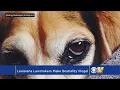 Bill Passes Making Bestiality Illegal In Louisiana