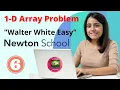 Newton school assignment Array questions Walter White Easy Newton School Assignment Answer