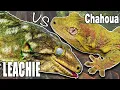 Leachie vs Chahoua If I could only pick ONE