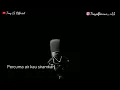 Download Lagu Karaoke Percuma Versi Slow Nada Pria || Percuma Karaoke Versi Slow Nada Cowok
