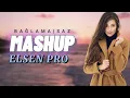 Elsen Pro - Mashup Remix ( Bağlama / Saz )