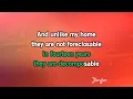Red Solo Cup - Toby Keith | Karaoke Version | KaraFun