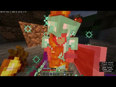 Minecraft server video for Professionals SMP