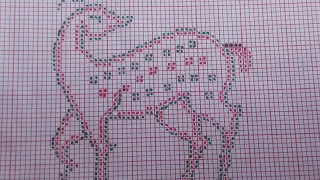 rignai bwthai graph traditional handloom weaving lehenga bwthai