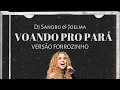 Download Lagu Joelma - Voando Pro Pará (Versão Forrozinho)