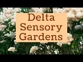Delta Sensory Gardens Carlow Hidden Gem of Ireland s Ancient East