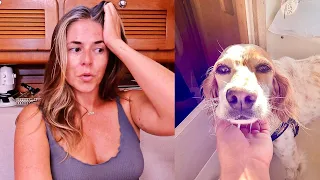 Emergency Dog Injury & The STRESS of Boat Life [Making Our Way Ep 67]