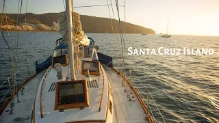 Sailing Avocet: Santa Cruz Island