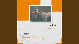 محمود الشاعري عايش دندنها