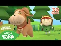Anjing Kecil - Heli Guk-Guk-Guk dan 30 Menit Lagu Anak Viral Terbaru Lainnya