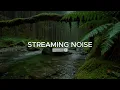 Calming Forest Ambience, Birds Singing & Beautiful Stream Sounds for Deep Sleep,Study Focus,Medicine