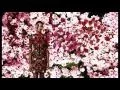 La Vie En Rose by Ugo Art