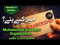 Inside MSO How Members Contribute and Make a Difference Organizational Work Explained