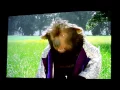 Download Lagu THE COUNTRY BEARS