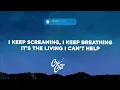 pupsies - misery. (Lyrics)