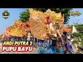 Download Lagu Pupu Bayu | Singa Depok ANDI PUTRA 3 di Bongas Pentil Indramayu
