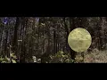 Mumford & Sons - Mumford & Sons and National Geographic Present: Woman