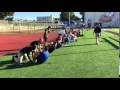 Physical Fitness Qualifier