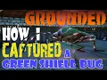 Grounded 1 4 Ultimate Bug Capture See how I captured a Green Shield Bug in NG 1