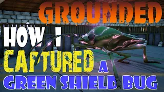 Grounded 1 4 Ultimate Bug Capture See how I captured a Green Shield Bug in NG 1