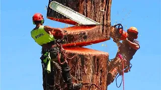 أمهر العمال في العالم   عملوا حاجات مستحيل تتصدق دندنها