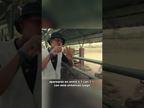 CASI ME MUERDE ESTE HIPOPOTAMO! 😱 #colombia #laliendra #documental #shorts #informativo