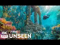 Into the Abyss Unlocking the Ocean s Deepest Most Mysterious Worlds