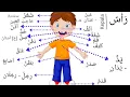 Nama nama anggota tubuh tubuh dalam bahasa arab
