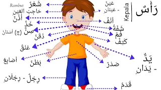 Download Nama nama anggota tubuh tubuh dalam bahasa arab MP3
