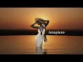 Lagu Amapiano \u0026 Afro House Mix 2026 | Private School Piano - Deep \u0026 Soulful Session (Vol.2)