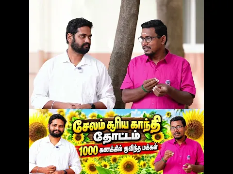 சேலத்தில் வைரலான சூரியகாந்தி தோட்டம். வீடியோ எடுக்க தடை விதித்த பாசக்கார விவசாயி