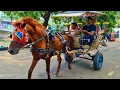 Download Lagu NAIK KUDA DELMAN - NAIK DELMAN ISTIMEWA - LAGU MEDLEY DUA MATA SAYA - DI SINI SENANG DI SANA SENANG
