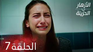 الأزهار الحزينة الحلقة 7 كاملة Kırgın Çiçekler 