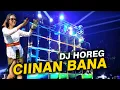 Download Lagu CIINAN BANA - DJ HOREG FULL BASS STYLE BEDIL TERBARU