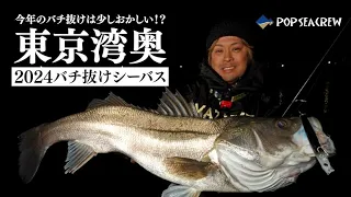 ちょっと変だぞ今年のバチ抜け!? 厳冬期の川バチパターン！東京湾奥バチ抜けシーバス