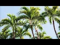 L´Impératrice • Vacances (Yuksek Remix)