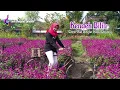 Download Lagu Viral‼️ Lagu Reggae Sasak Kendek bilin - Versi Nia Dirgha Irama Dopang lirik dangdut lombok