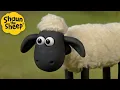 Lagu Sheep on a hill 🐑 Shaun the Sheep 🐑  - Cartoons for Kids 🐑 Full Episodes Compilation [1 hour]