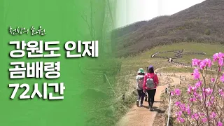 천상의 화원을 거닐다! 강원도 인제 곰배령 72시간｜[여행다큐] KBS 20200529 썸네일