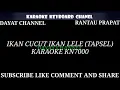 Download Lagu IKAN CUCUT IKAN LELE (TAPSEL) KARAOKE (DUET)