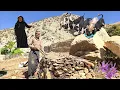Download Lagu 🐾Building a cozy shelter for dogs with natural materials  the mountains | Nomadic life  Iran